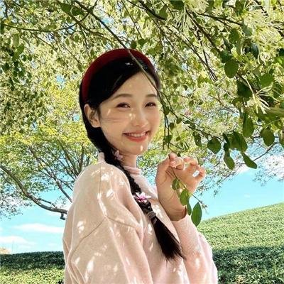 精灵宝可梦：大家的故事