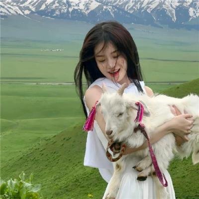 北平无战事